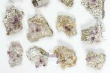 Lot: - Veracruz Amethyst Clusters - Pieces #80635-1